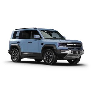 BYD Formula Leopard 5
